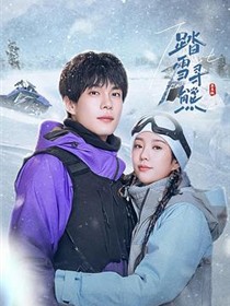 踏雪寻熊