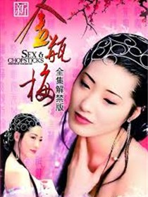 新金瓶梅剧集